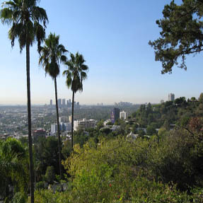 Window Cleaning Testimonial